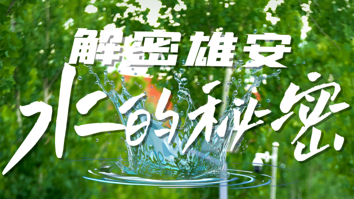 拔節生長看雄安丨解密雄安“水的秘密”